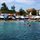ourswimmer